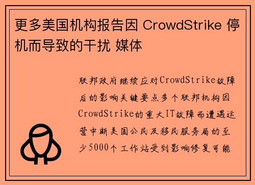 更多美国机构报告因 CrowdStrike 停机而导致的干扰 媒体