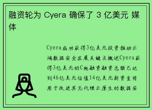 融资轮为 Cyera 确保了 3 亿美元 媒体